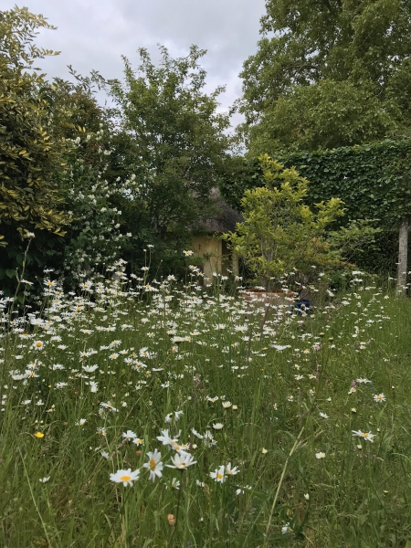 Old Channel Hill Farmhouse